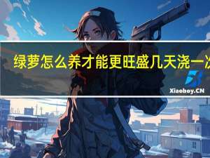 绿萝怎么养才能更旺盛几天浇一次水