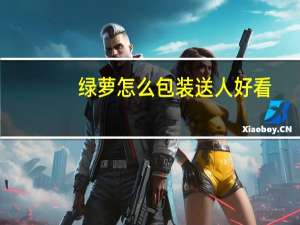 绿萝怎么包装送人好看