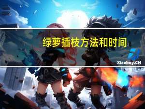绿萝插枝方法和时间
