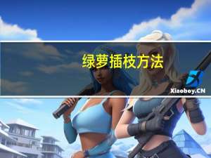 绿萝插枝方法