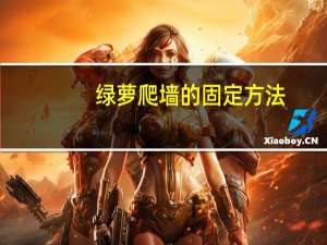 绿萝爬墙的固定方法