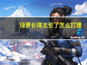 绿萝长得太长了怎么打理