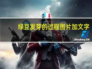 绿豆发芽的过程图片加文字（绿豆发芽的过程 图片）