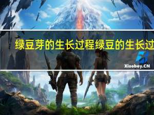 绿豆芽的生长过程 绿豆的生长过程(图文)