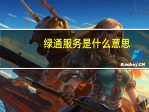 绿通服务是什么意思