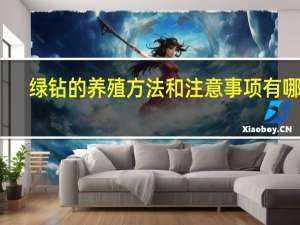 绿钻的养殖方法和注意事项有哪些