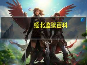 缅北监狱百科（缅北监狱）
