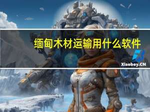 缅甸木材运输用什么软件