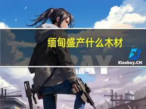 缅甸盛产什么木材