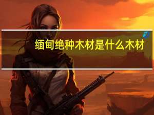 缅甸绝种木材是什么木材