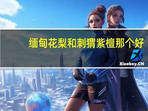 缅甸花梨和刺猬紫檀那个好