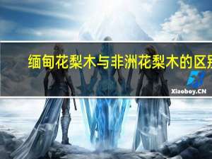 缅甸花梨木与非洲花梨木的区别