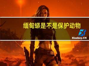 缅甸蟒是不是保护动物