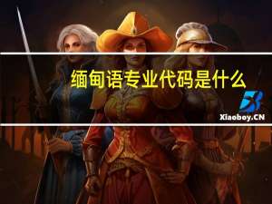 缅甸语专业代码是什么