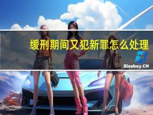 缓刑期间又犯新罪怎么处理