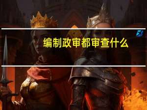编制政审都审查什么