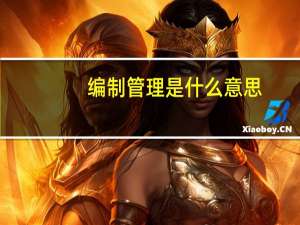 编制管理是什么意思