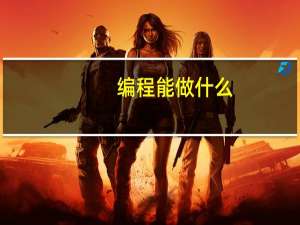 编程能做什么