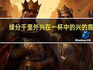 缘分千里外兴在一杯中的兴的意思