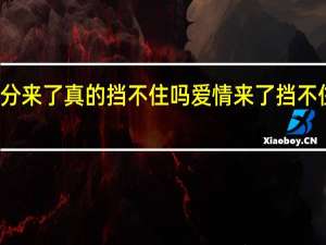 缘分来了真的挡不住吗 爱情来了挡不住电视剧