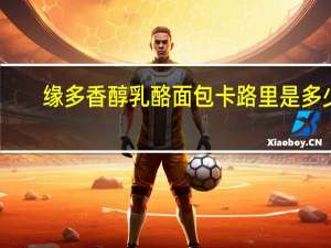 缘多香醇乳酪面包卡路里是多少