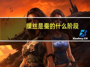 缫丝是蚕的什么阶段