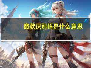 缴款识别码是什么意思