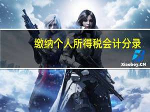 缴纳个人所得税会计分录（应交个人所得税会计分录）