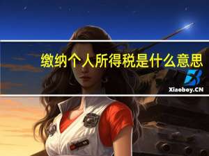 缴纳个人所得税是什么意思