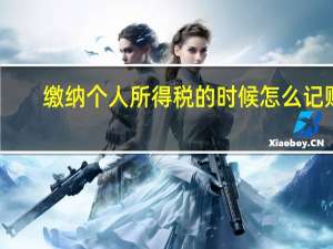 缴纳个人所得税的时候怎么记账