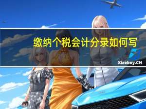 缴纳个税会计分录如何写