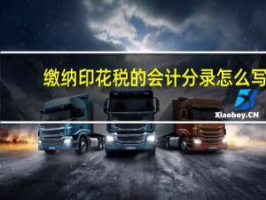 缴纳印花税的会计分录怎么写（缴纳印花税的会计分录）
