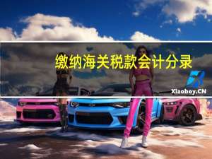 缴纳海关税款会计分录