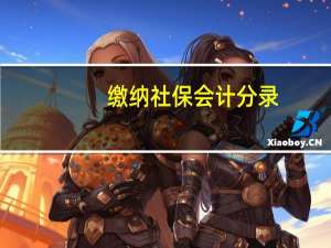 缴纳社保会计分录