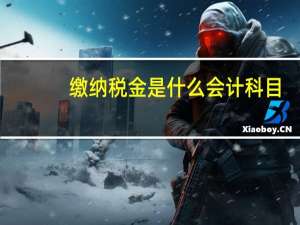 缴纳税金是什么会计科目