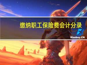缴纳职工保险费会计分录