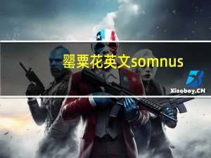 罂粟花英文somnus（罂粟花的英文）