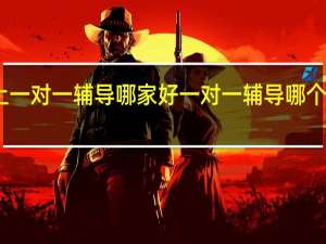 网上一对一辅导哪家好 一对一辅导哪个机构好啊
