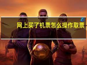 网上买了机票怎么操作取票