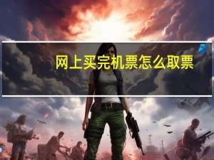 网上买完机票怎么取票