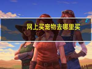 网上买宠物去哪里买