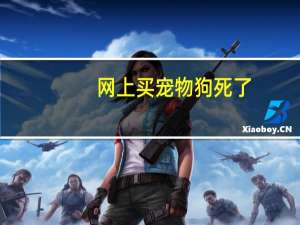 网上买宠物狗死了