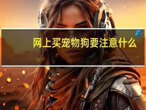 网上买宠物狗要注意什么