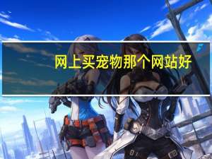 网上买宠物那个网站好