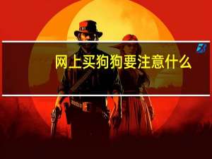 网上买狗狗要注意什么