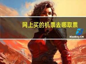 网上买的机票去哪取票