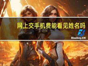 网上交手机费能看见姓名吗（网上交手机费）