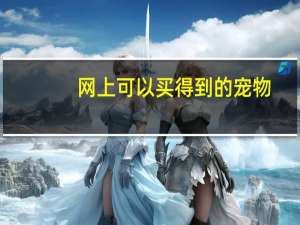 网上可以买得到的宠物