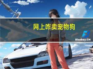 网上咋卖宠物狗