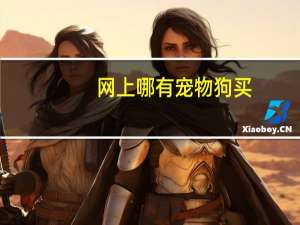 网上哪有宠物狗买